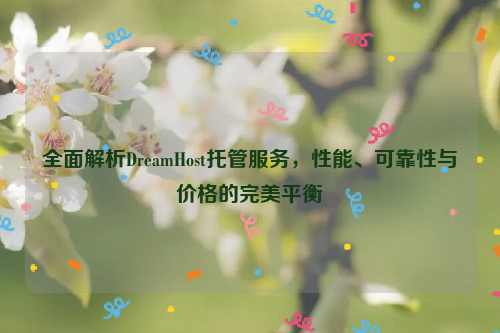 全面解析DreamHost托管服务，性能、可靠性与价格的完美平衡