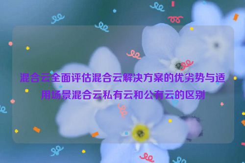 混合云全面评估混合云解决方案的优劣势与适用场景混合云私有云和公有云的区别