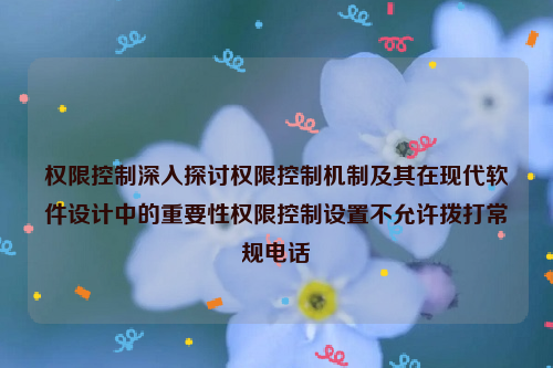 权限控制深入探讨权限控制机制及其在现代软件设计中的重要性权限控制设置不允许拨打常规电话