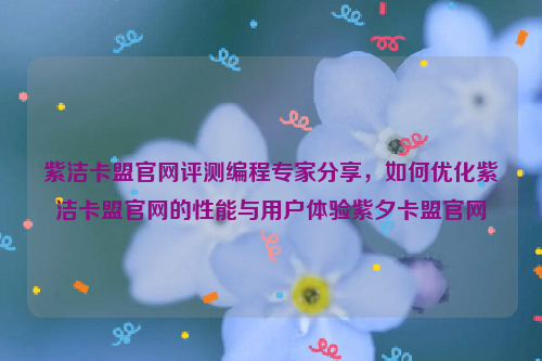 紫洁卡盟官网评测编程专家分享，如何优化紫洁卡盟官网的性能与用户体验紫夕卡盟官网