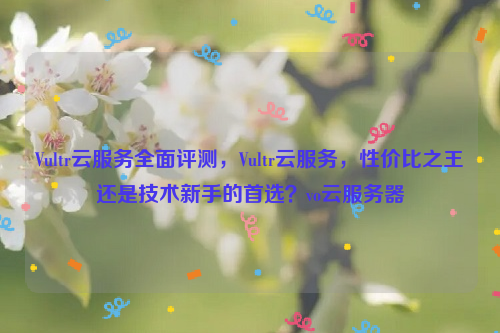 Vultr云服务全面评测，Vultr云服务，性价比之王还是技术新手的首选？vo云服务器