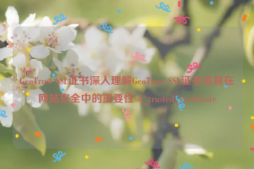 GeoTrust SSL证书深入理解GeoTrust SSL证书及其在网站安全中的重要性ssl_trusted_certificate