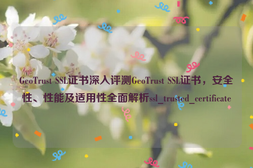 GeoTrust SSL证书深入评测GeoTrust SSL证书，安全性、性能及适用性全面解析ssl_trusted_certificate