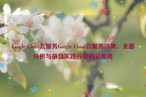 Google Cloud云服务Google Cloud云服务评测，全面分析与最佳实践谷歌的云服务