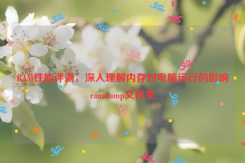 RAM性能评测，深入理解内存对电脑运行的影响ramdump文件夹