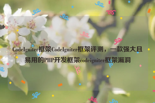 CodeIgniter框架CodeIgniter框架评测，一款强大且易用的PHP开发框架codeigniter框架漏洞