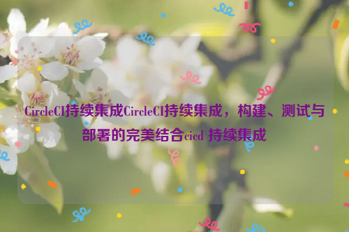 CircleCI持续集成CircleCI持续集成，构建、测试与部署的完美结合cicd 持续集成