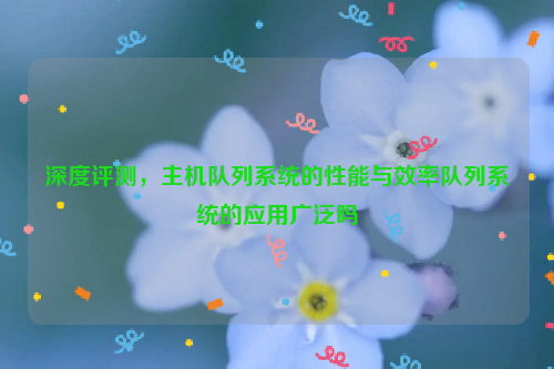 深度评测，主机队列系统的性能与效率队列系统的应用广泛吗