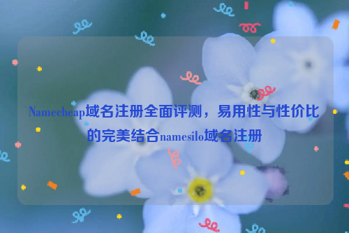 Namecheap域名注册全面评测，易用性与性价比的完美结合namesilo域名注册