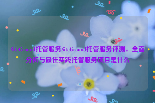 SiteGround托管服务SiteGround托管服务评测，全面分析与最佳实践托管服务项目是什么