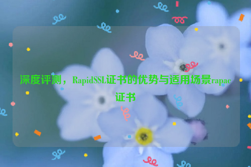 深度评测，RapidSSL证书的优势与适用场景rapac证书