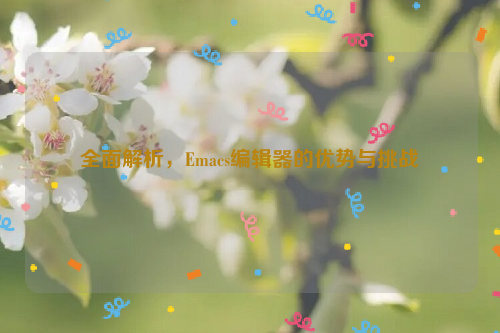 全面解析，Emacs编辑器的优势与挑战