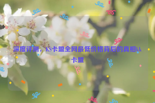 深度评测，KS卡盟全网最低价格背后的真相kk卡盟