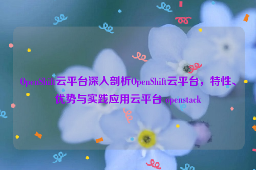 OpenShift云平台深入剖析OpenShift云平台，特性、优势与实践应用云平台 openstack