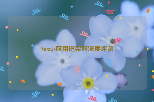 Nuxt.js应用框架的深度评测