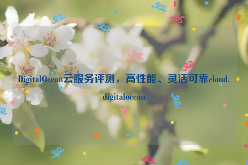 DigitalOcean云服务评测，高性能、灵活可靠cloud.digitalocean