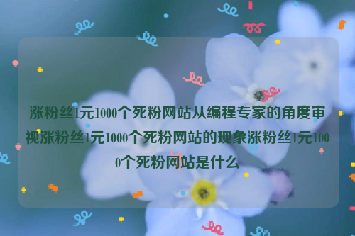 涨粉丝1元1000个死粉网站从编程专家的角度审视涨粉丝1元1000个死粉网站的现象涨粉丝1元1000个死粉网站是什么