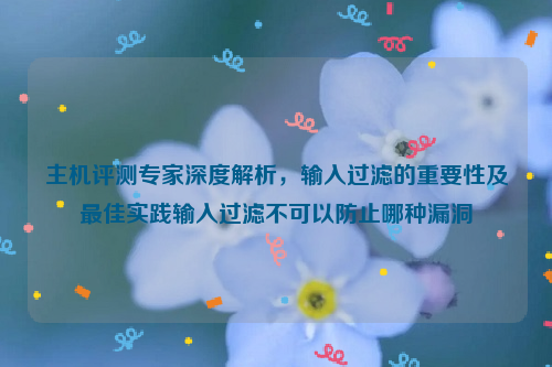 主机评测专家深度解析，输入过滤的重要性及最佳实践输入过滤不可以防止哪种漏洞