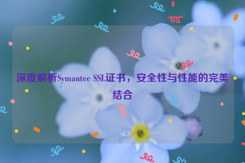 深度解析Symantec SSL证书，安全性与性能的完美结合