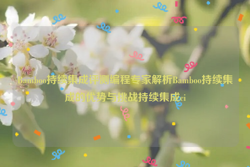 Bamboo持续集成评测编程专家解析Bamboo持续集成的优势与挑战持续集成ci