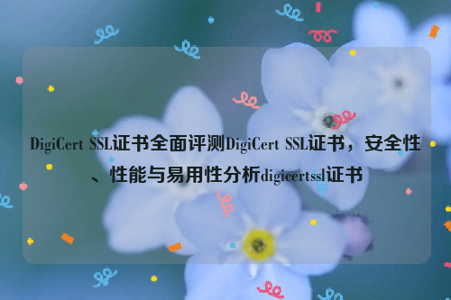 DigiCert SSL证书全面评测DigiCert SSL证书，安全性、性能与易用性分析digicertssl证书