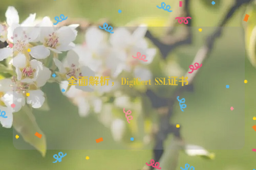 全面解析，DigiCert SSL证书