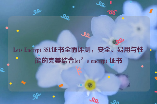 Lets Encrypt SSL证书全面评测，安全、易用与性能的完美结合let’s encrypt 证书