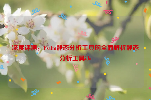 深度评测，Psalm静态分析工具的全面解析静态分析工具ida