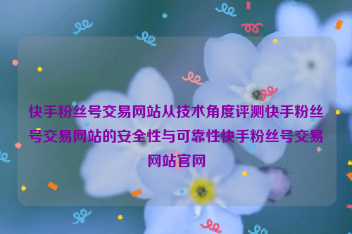 快手粉丝号交易网站从技术角度评测快手粉丝号交易网站的安全性与可靠性快手粉丝号交易网站官网