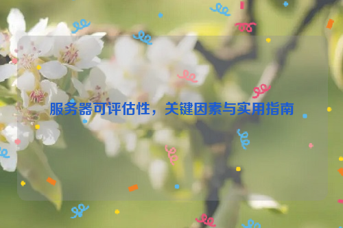 服务器可评估性，关键因素与实用指南