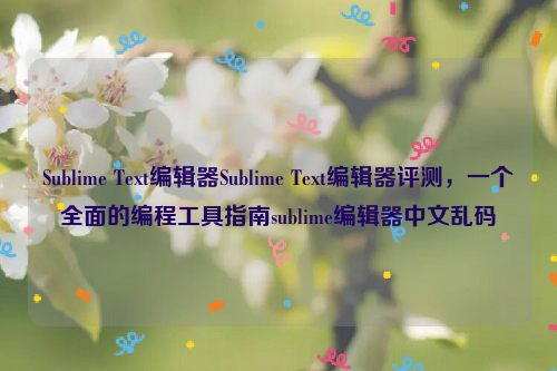 Sublime Text编辑器Sublime Text编辑器评测，一个全面的编程工具指南sublime编辑器中文乱码