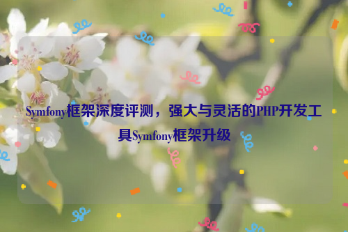 Symfony框架深度评测，强大与灵活的PHP开发工具Symfony框架升级