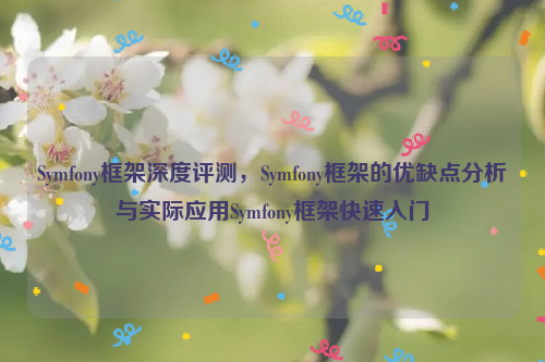 Symfony框架深度评测，Symfony框架的优缺点分析与实际应用Symfony框架快速入门