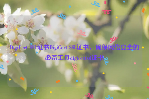 DigiCert SSL证书DigiCert SSL证书，确保网络安全的必备工具digicertssl证书