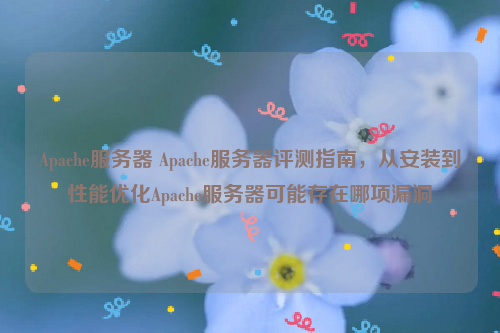 Apache服务器 Apache服务器评测指南，从安装到性能优化Apache服务器可能存在哪项漏洞