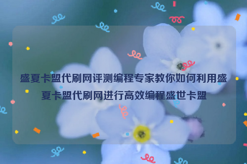 盛夏卡盟代刷网评测编程专家教你如何利用盛夏卡盟代刷网进行高效编程盛世卡盟