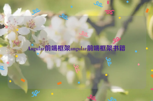 Angular前端框架angular前端框架书籍