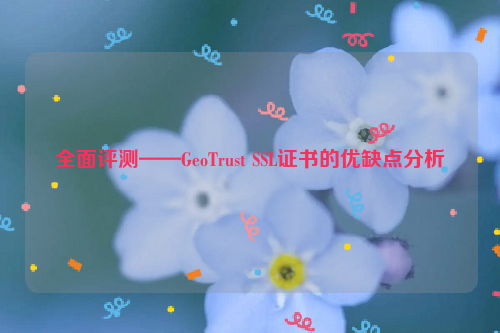 全面评测——GeoTrust SSL证书的优缺点分析