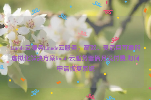 Linode云服务Linode云服务，高效、灵活且可靠的虚拟化解决方案linode云服务器俩月没付费,如何申请恢复系统