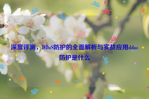 深度评测，DDoS防护的全面解析与实战应用ddos防护是什么