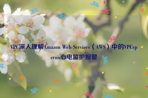 VPC深入理解Amazon Web Services（AWS）中的VPCvpcrun心电监护报警