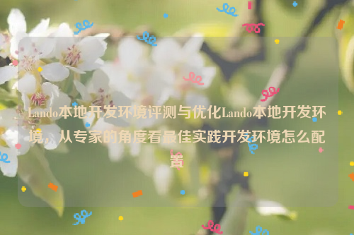 Lando本地开发环境评测与优化Lando本地开发环境，从专家的角度看最佳实践开发环境怎么配置