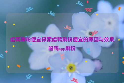 唱鸭刷粉便宜探索唱鸭刷粉便宜的原因与效果唱鸭app刷粉