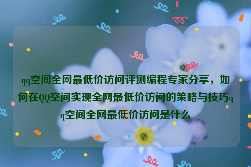 qq空间全网最低价访问评测编程专家分享，如何在QQ空间实现全网最低价访问的策略与技巧qq空间全网最低价访问是什么