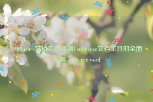 Confluence文档工具评测Confluence文档工具的全面指南confluence word