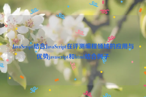 JavaScript结合JavaScript在评测编程领域的应用与优势javascript和html结合例子