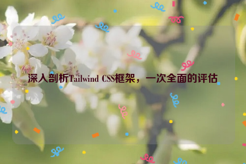 深入剖析Tailwind CSS框架，一次全面的评估