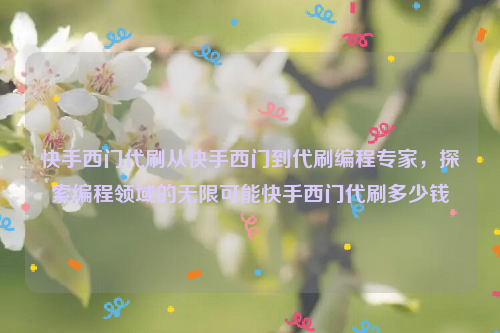 快手西门代刷从快手西门到代刷编程专家，探索编程领域的无限可能快手西门代刷多少钱