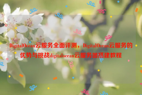 DigitalOcean云服务全面评测，DigitalOcean云服务的优势与挑战digitalocean云服务器搭建教程