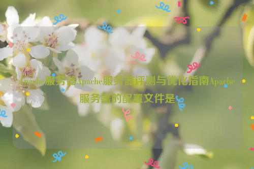 Apache服务器Apache服务器评测与优化指南Apache服务器的配置文件是